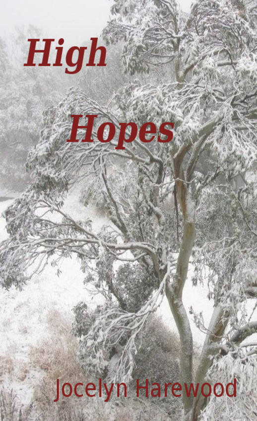 High Hopes Low Slopes